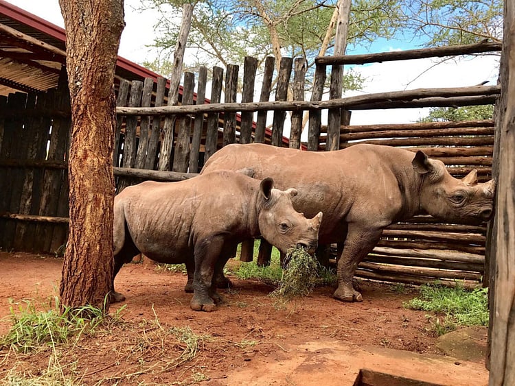 1.2034424-3948546055