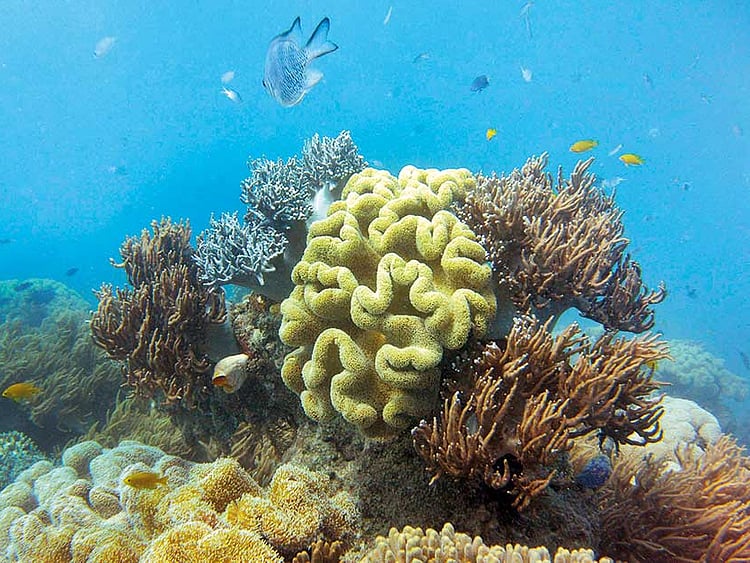 1.2034819-4126218840