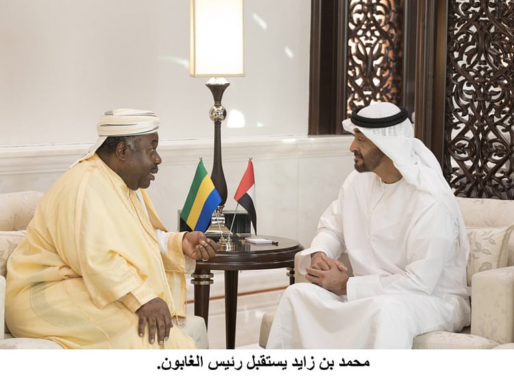 1.2035239-4169624191