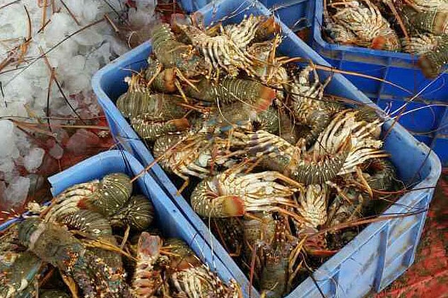 1.2021248-3687944723