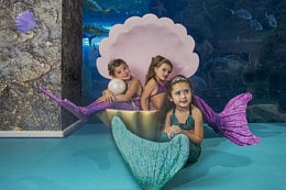 1.2021632-3236087679