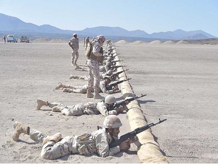 1.2021317-2633198224