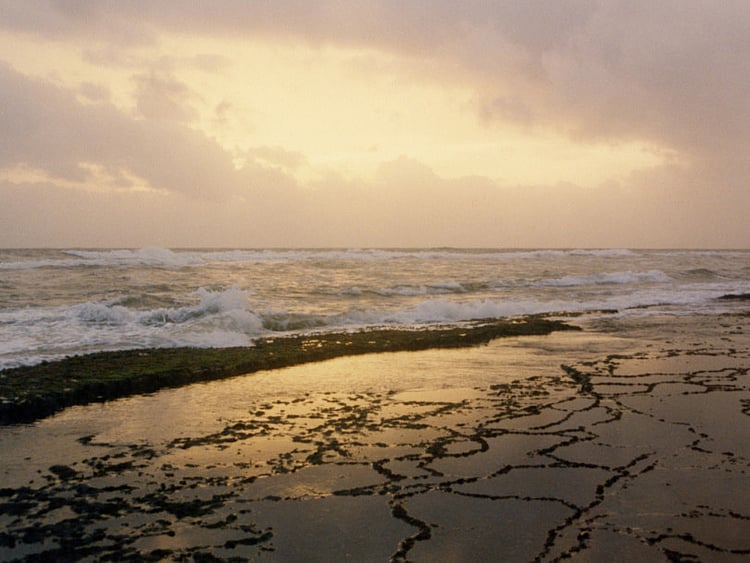 1.2021424-2513818128