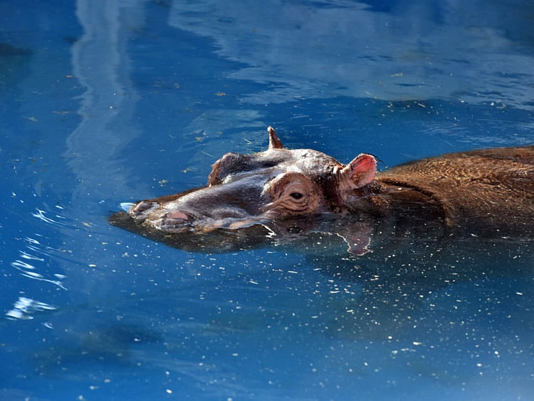 1.2036017-3865080051