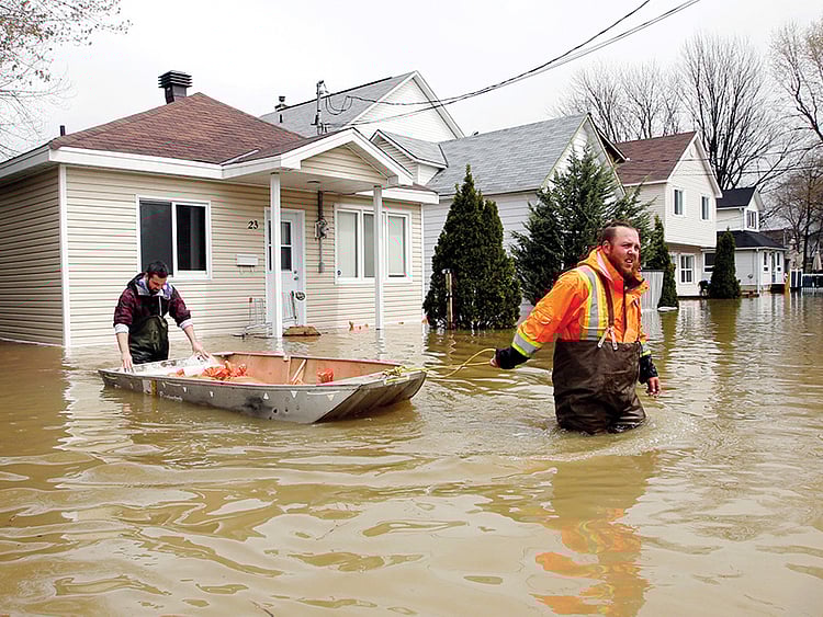 1.2023771-1688143482