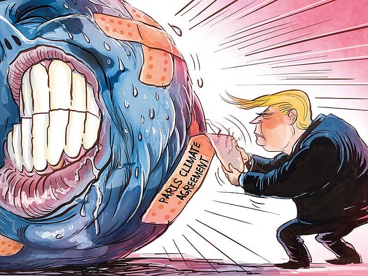 1.2036920-3349204211