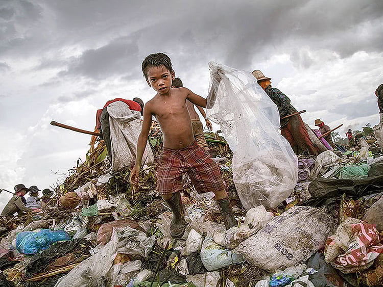 1.2041822-1656396316