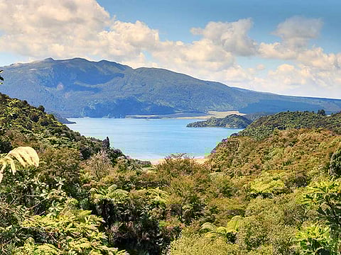 Lost natural wonder in New Zealand may be found, researchers say