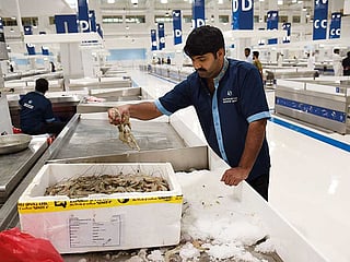 New fish market opens in Dubai