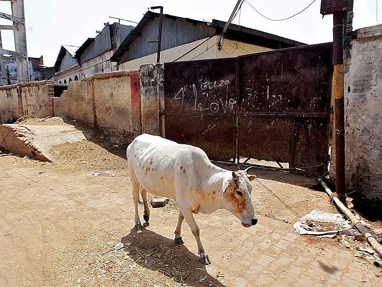 1.2044292-1977550170