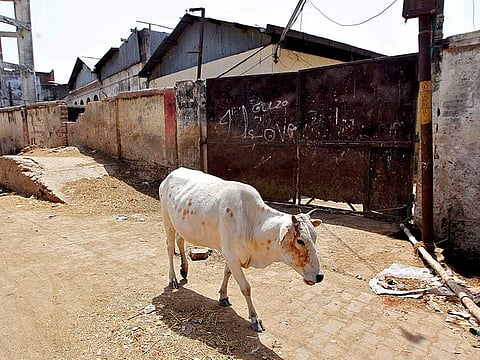 Picture for illustrative purpose.