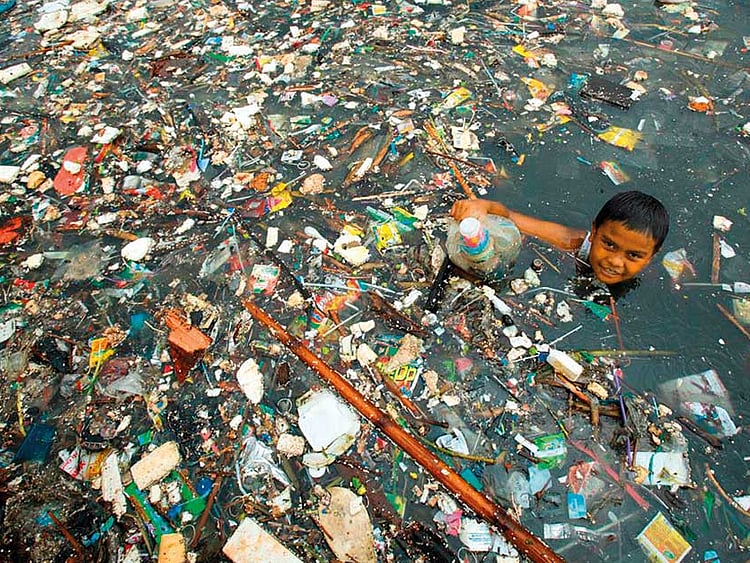 1.2044801-2183056291