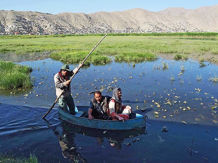 1.2044816-4169500137