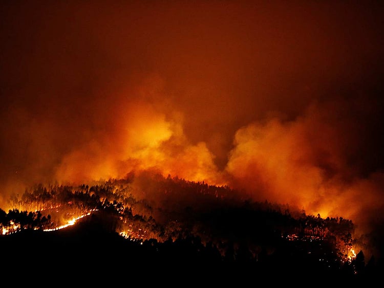 1.2045273-1453841181