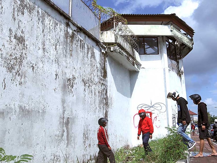 1.2046087-3363700245