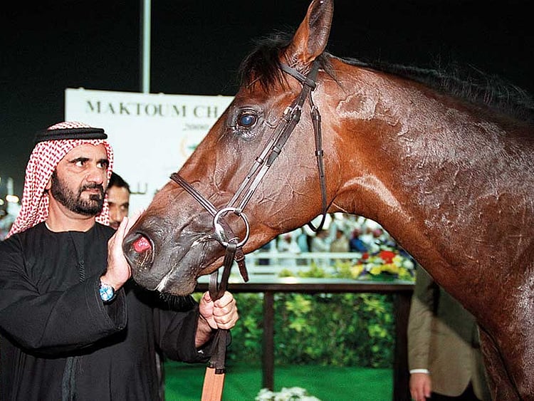 1.2046157-2255771049