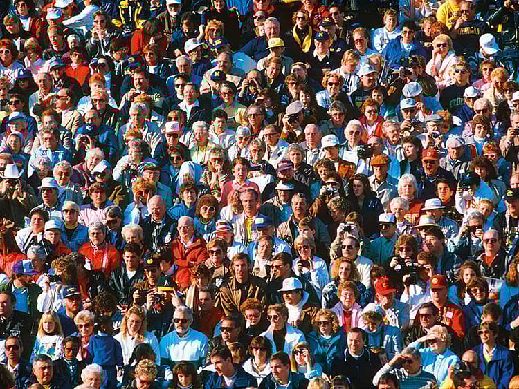 1.2046035-3521592485