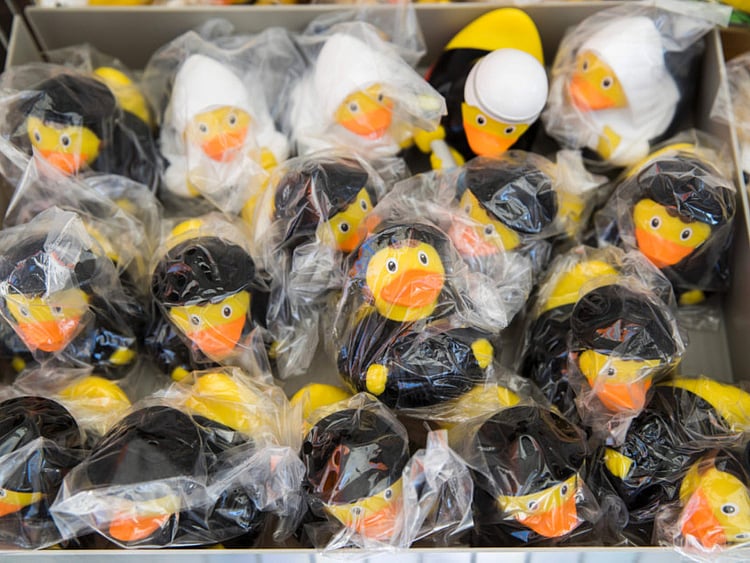 1.2037413-2320440029