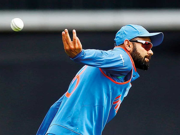 1.2037342-2931056105