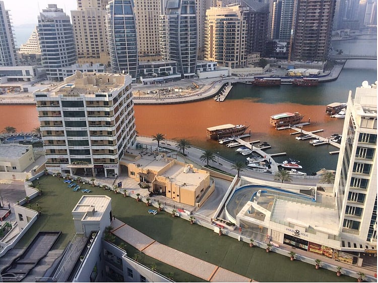 1.2048099-3497408264