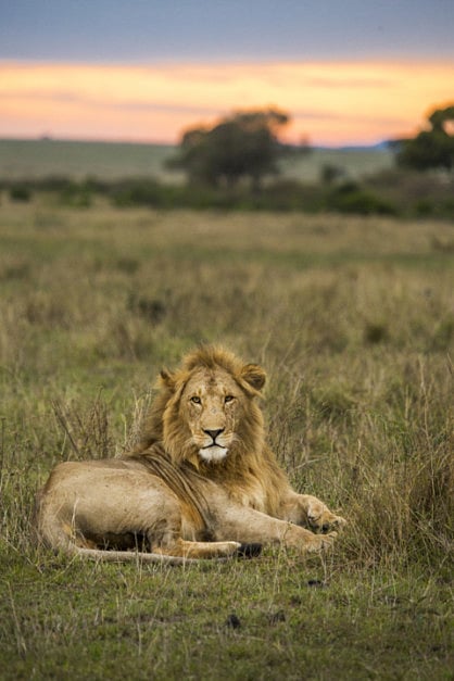 Kumble Mahendra Nayak