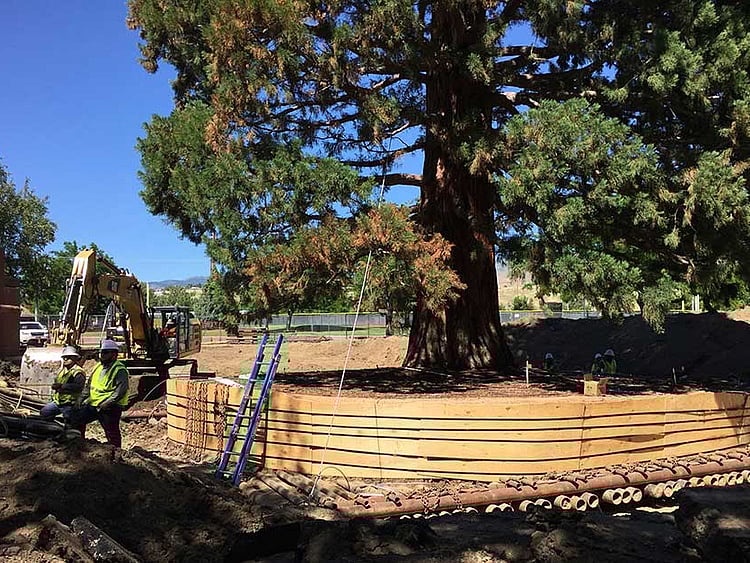 1.2048600-2721155201