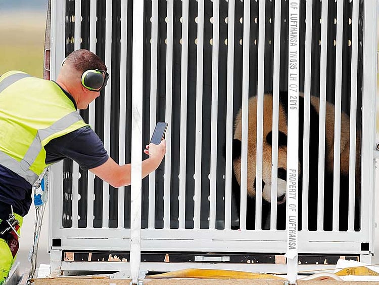 1.2048733-3588593139