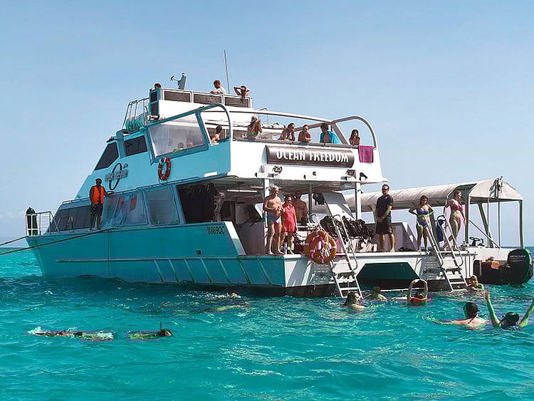 1.2049301-3770847773