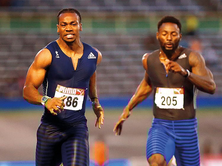 1.2049313-1493856653