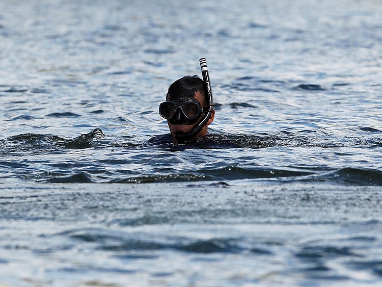 1.2049612-2247470135