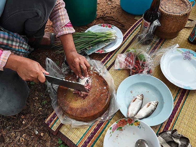 1.2050325-1579471394