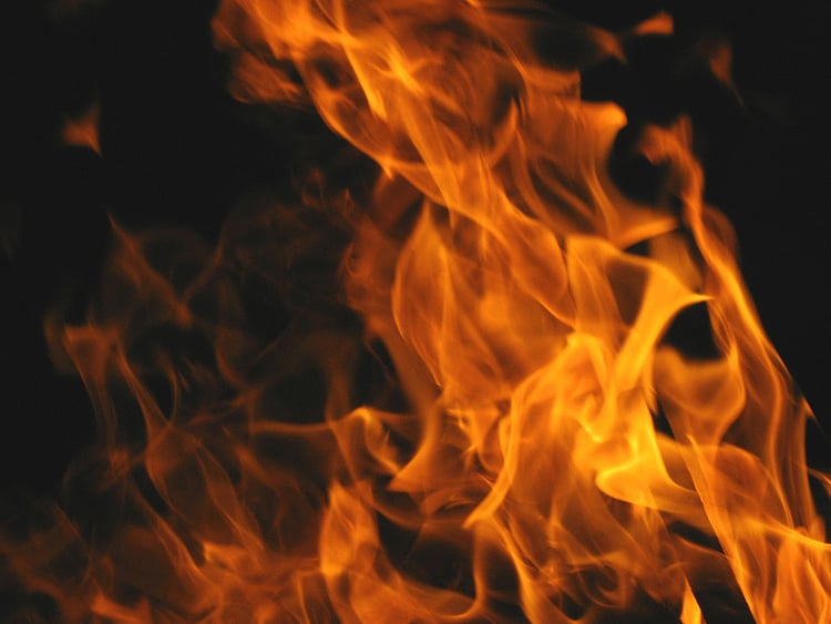 1.2050731-3788309705