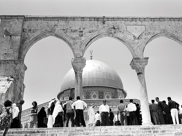 1.2038636-4088439066