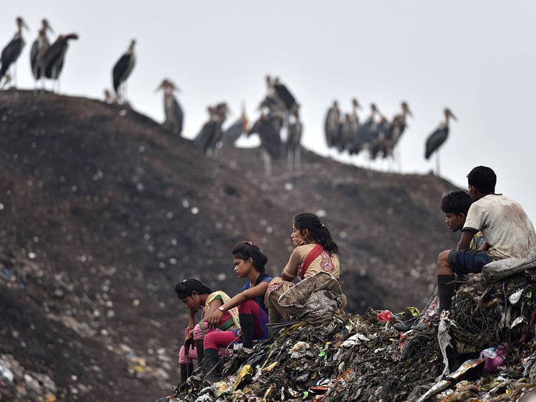 1.2056747-2762619950