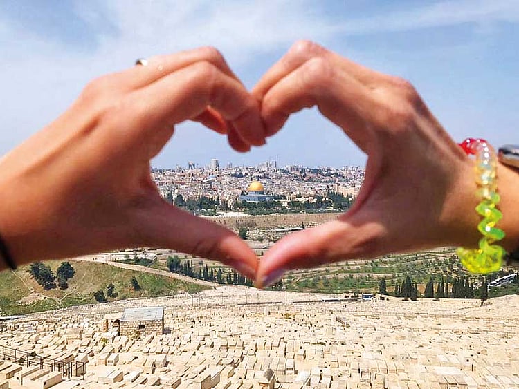 1.2039219-1039356564