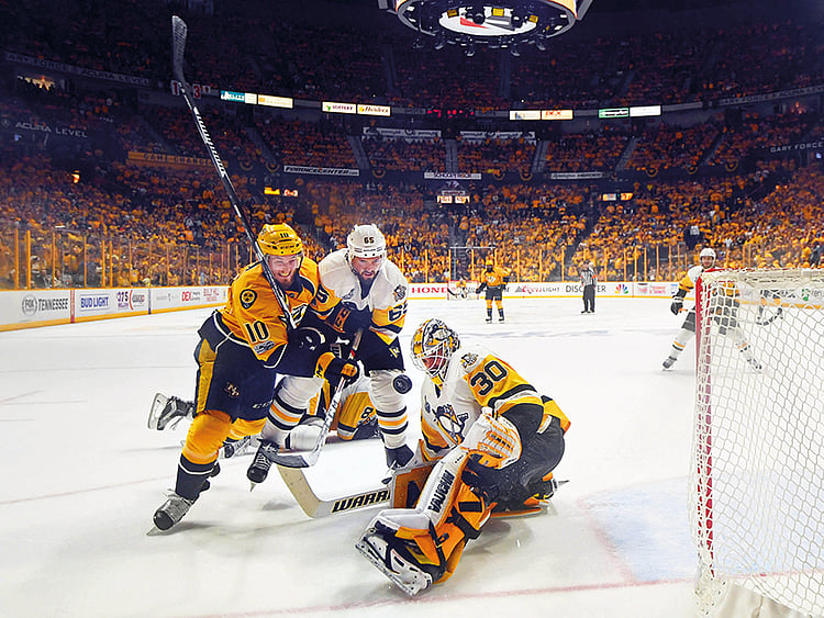 1.2039182-1100253243