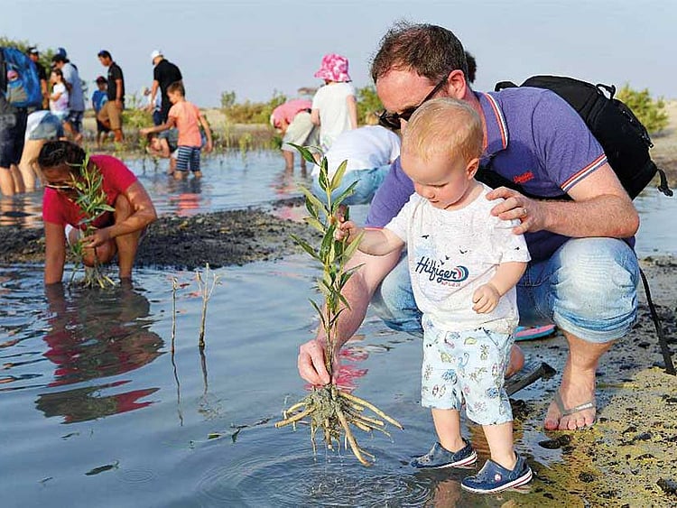 1.2294753-3474052281