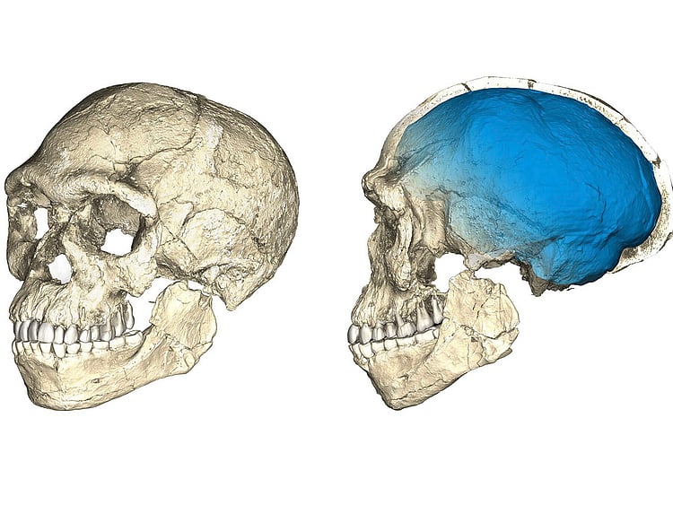 1.2040184-2959392313