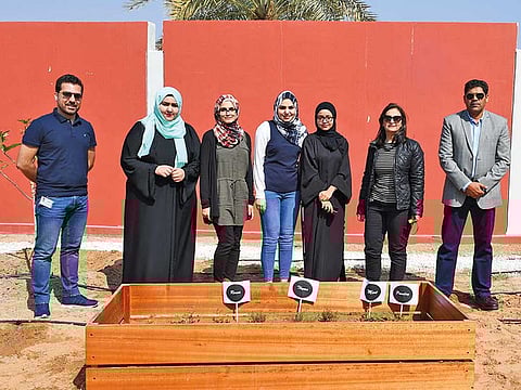 UAE University
