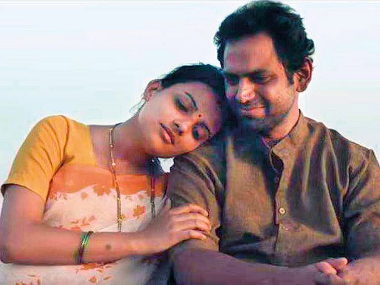 1.2040238-3193649533