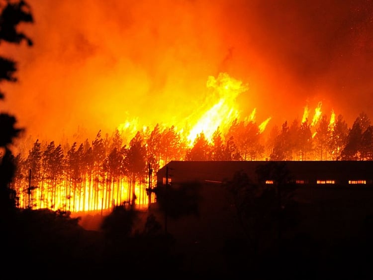 1.2040450-1595639518