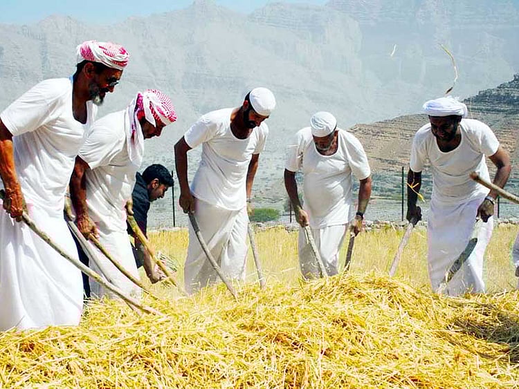 1.2040900-3257727577