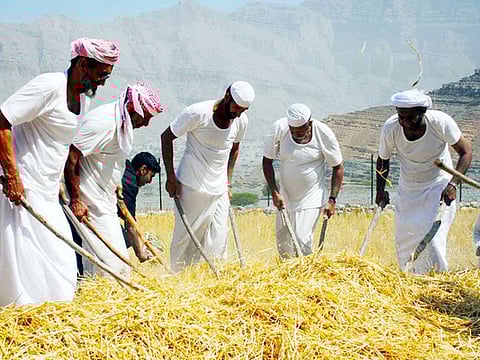 Picture taken from Video