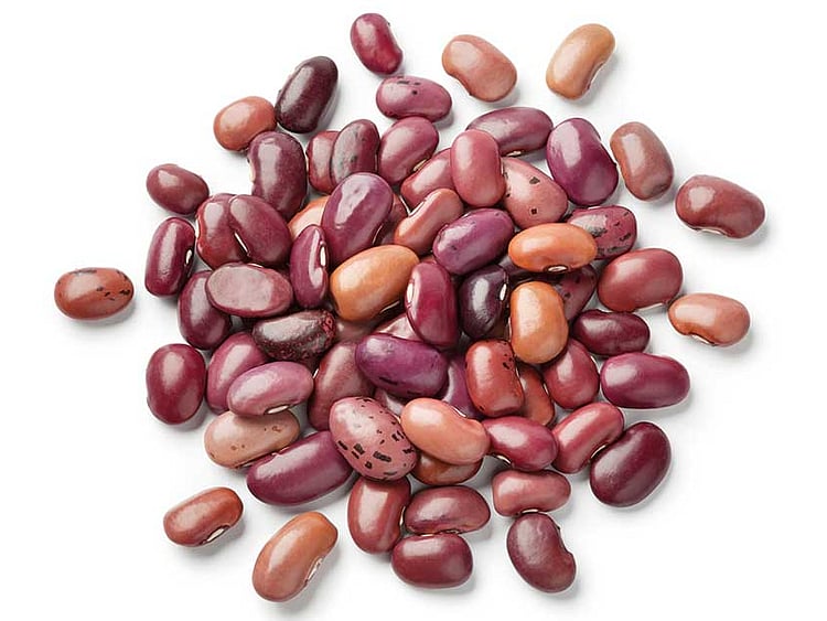 1.2055914-2298283064