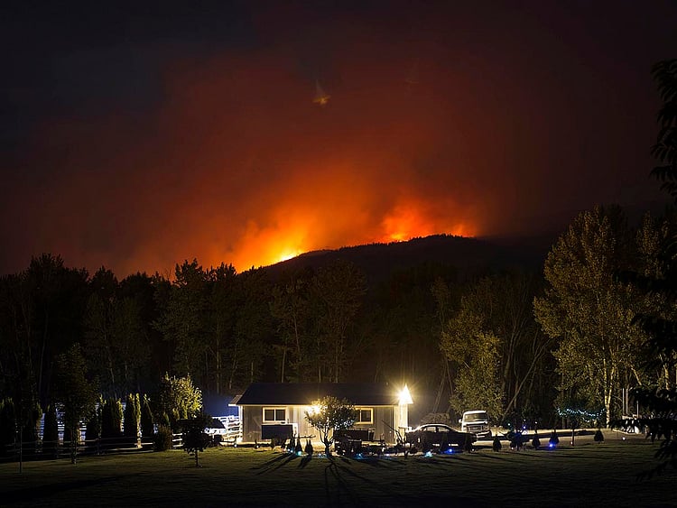 1.2056376-1647085842