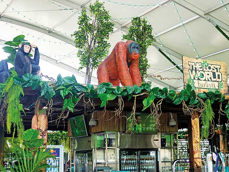 1.2056518-3210424710