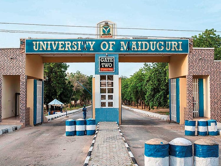 1.2058021-2569139677