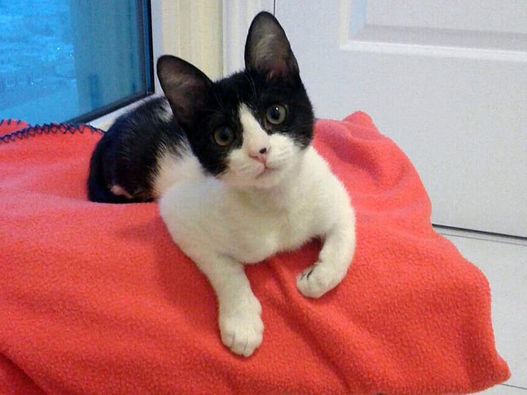 1.2058918-3023948477