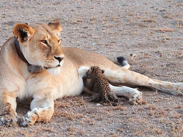 1.2058640-3668708606