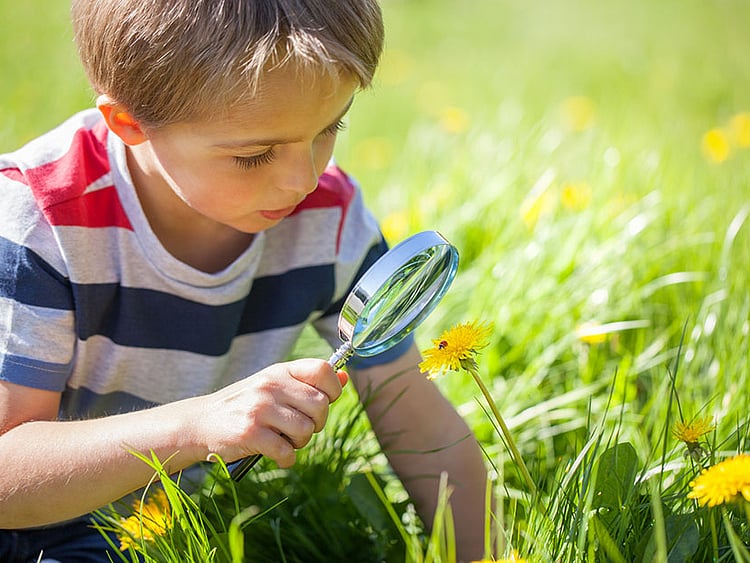 1.2056768-1258947435